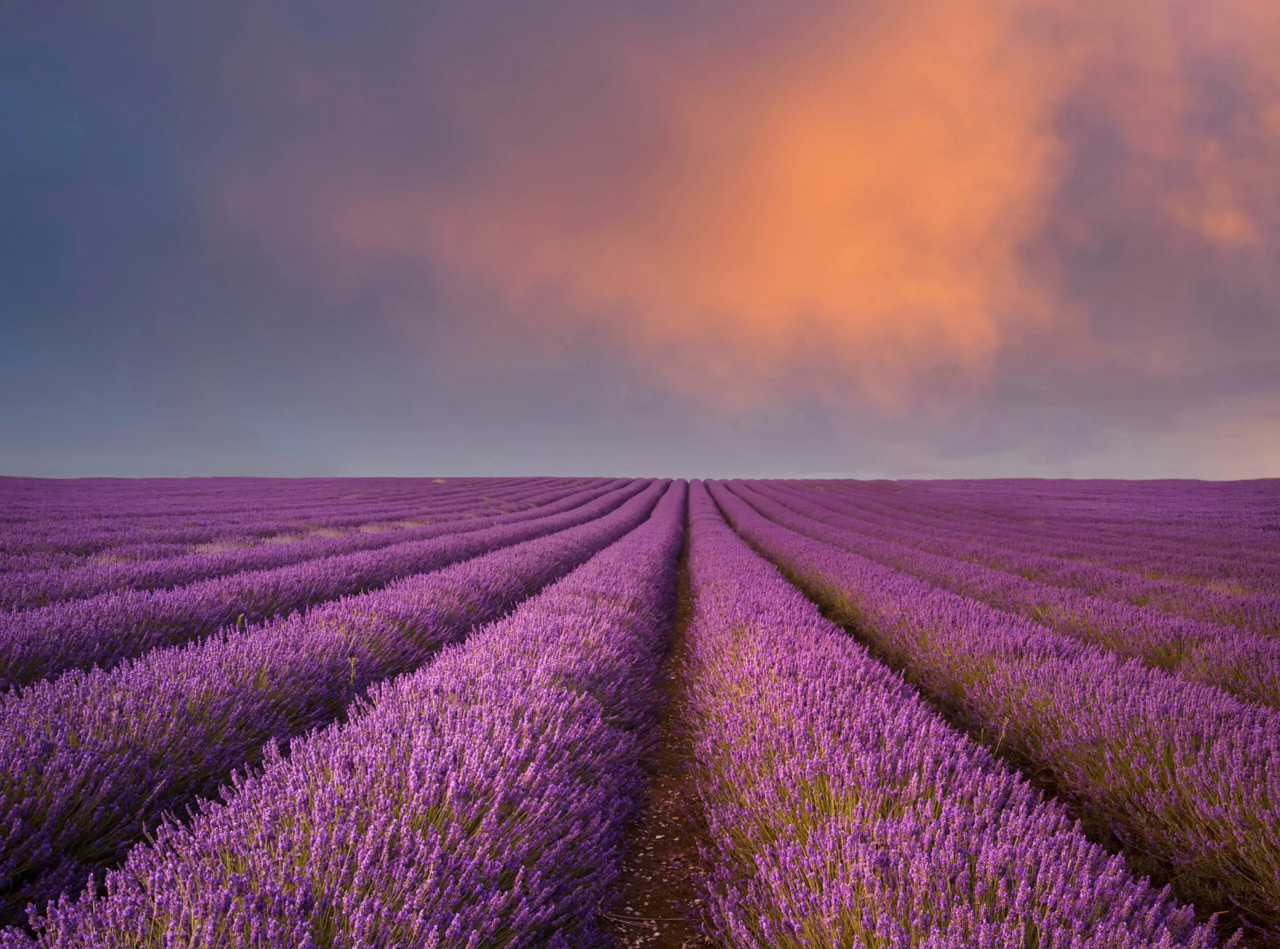 AdobeStock_340508530-scaled